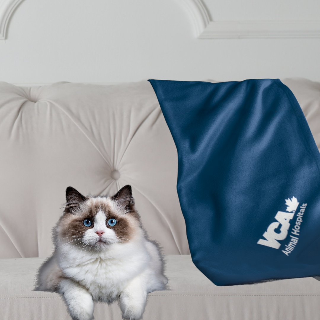 100% Recycled PET Fleece Blanket - IN STOCK