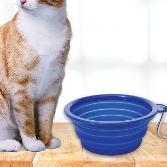 VCA Collapsible Dog Bowl - IN STOCK
