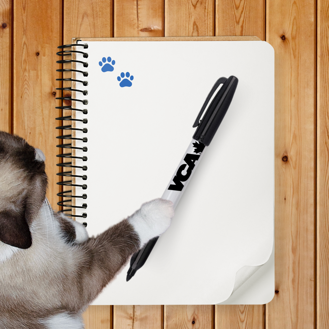 VCA Fine Point Sharpie® - IN STOCK